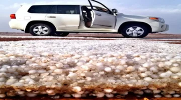 البرد الكثيف يحوّل أجواء حائل إلى بيضاء ويجبر المتنزهين على الانسحاب 1